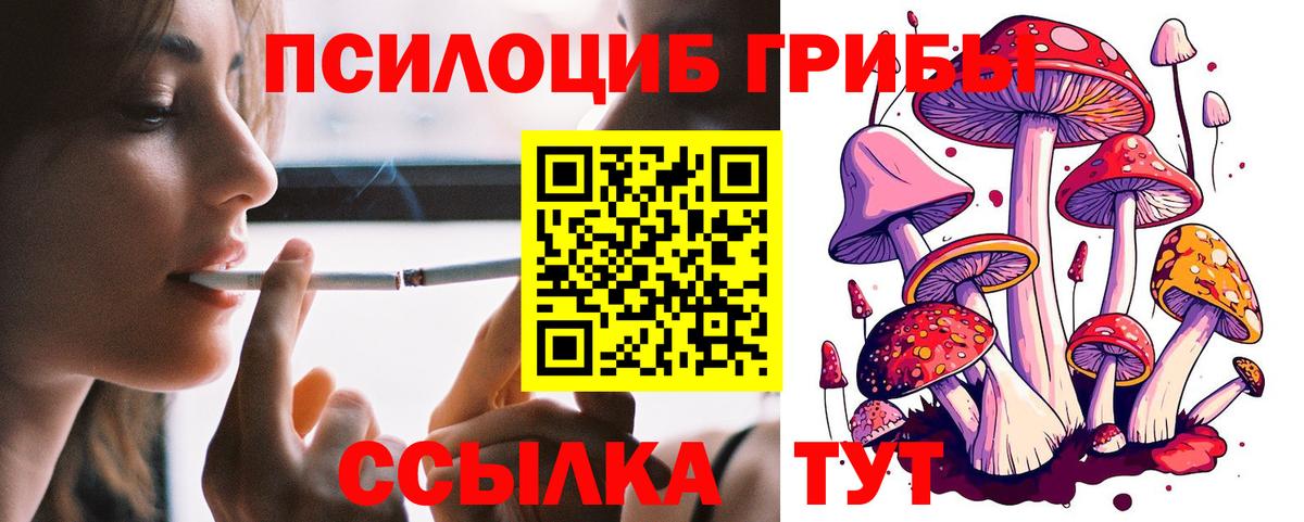 Черемхово  Псилоцибиновые грибы Magic Shrooms  Вход с VPN 